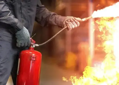 Artikel_Webinar_Somati_FIE_NL-500x357